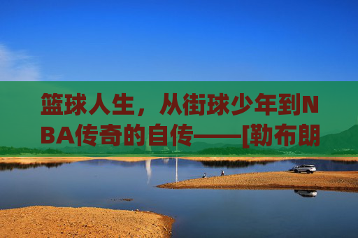 篮球人生，从街球少年到NBA传奇的自传——[勒布朗·詹姆斯]的奋斗与坚持，篮球人生，从街球少年到NBA传奇的勒布朗·詹姆斯奋斗自传