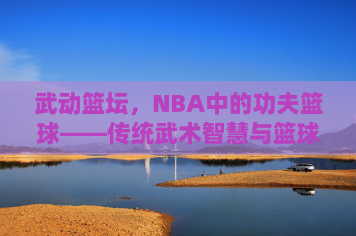 武动篮坛，NBA中的功夫篮球——传统武术智慧与篮球运动的奇妙碰撞，武动篮坛，NBA中的功夫篮球——传统武术智慧与篮球运动的奇妙碰撞