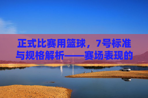正式比赛用篮球，7号标准与规格解析——赛场表现的核心保障，正式比赛用篮球7号标准与规格解析，赛场表现的核心保障