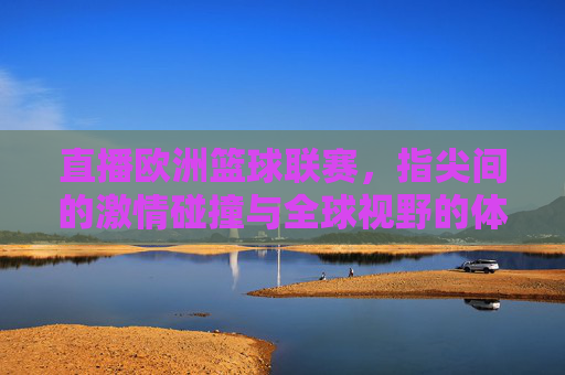 直播欧洲篮球联赛，指尖间的激情碰撞与全球视野的体育盛宴，直播欧洲篮球联赛，指尖间的激情碰撞与全球视野的体育盛宴
