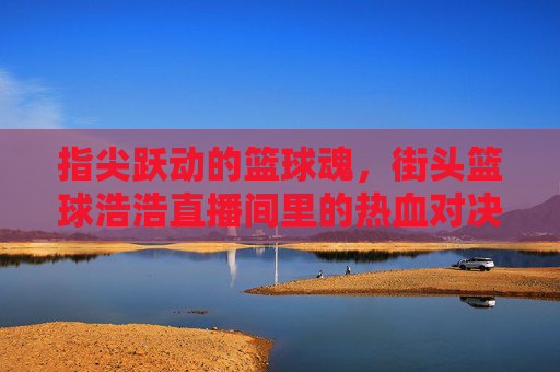 指尖跃动的篮球魂，街头篮球浩浩直播间里的热血对决与青春共鸣，指尖跃动的篮球魂，街头篮球浩浩直播间里的热血对决与青春共鸣