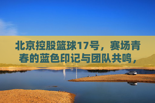 北京控股篮球17号，赛场青春的蓝色印记与团队共鸣，北京控股篮球17号，赛场青春的蓝色印记与团队共鸣