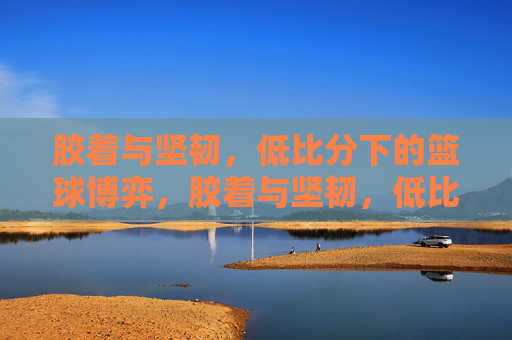 胶着与坚韧，低比分下的篮球博弈，胶着与坚韧，低比分下的篮球博弈