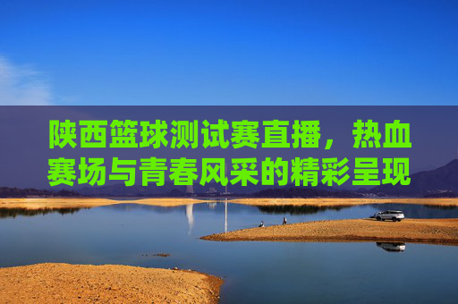 陕西篮球测试赛直播,热血赛场与青春风采的精彩呈现,陕西篮球测试赛直播,热血赛场与青春风采的精彩呈现