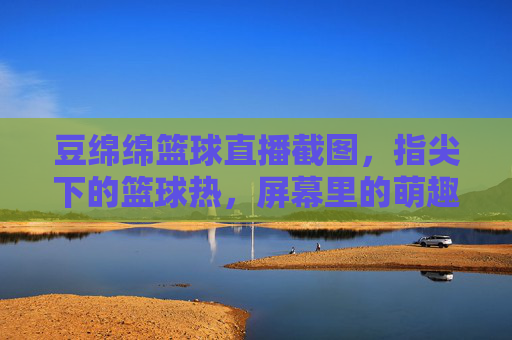 豆绵绵篮球直播截图，指尖下的篮球热，屏幕里的萌趣直播瞬间，豆绵绵篮球直播截图，指尖下的篮球热与屏幕里的萌趣直播瞬间