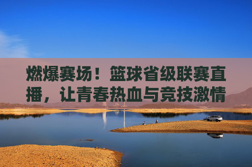 燃爆赛场!篮球省级联赛直播,让青春热血与竞技激情在线绽放,燃爆赛场!篮球省级联赛直播,让青春热血与竞技激情在线绽放