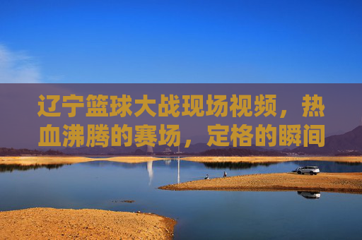 辽宁篮球大战现场视频,热血沸腾的赛场,定格的瞬间与未说出口的呐喊,辽宁篮球大战现场视频,热血赛场,定格瞬间与未说出口的呐喊
