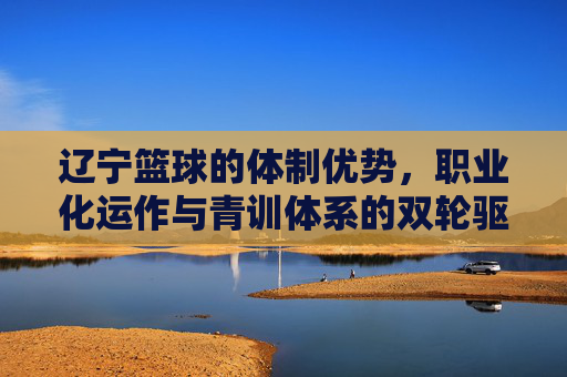 辽宁篮球的体制优势,职业化运作与青训体系的双轮驱动,辽宁篮球的体制优势,职业化运作与青训体系的双轮驱动