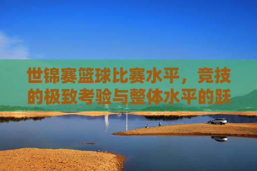 世锦赛篮球比赛水平，竞技的极致考验与整体水平的跃升——以2024年赛事为例，世锦赛篮球比赛水平，竞技的极致考验与整体水平的跃升——以2024年赛事为例