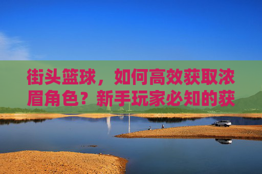 街头篮球,如何高效获取浓眉角色?新手玩家必知的获取攻略