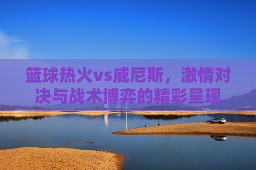 篮球热火vs威尼斯,激情对决与战术博弈的精彩呈现