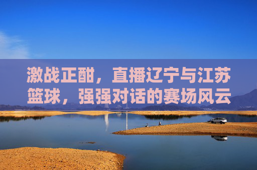 激战正酣，直播辽宁与江苏篮球，强强对话的赛场风云与精彩瞬间
