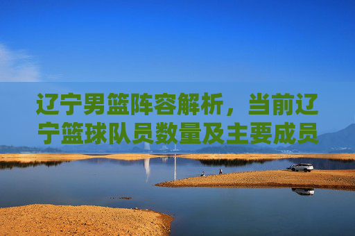 辽宁男篮阵容解析,当前辽宁篮球队员数量及主要成员介绍