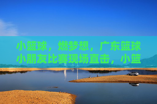 小篮球，燃梦想，广东篮球小朋友比赛现场直击，小篮球燃梦想，广东篮球小朋友比赛现场直击