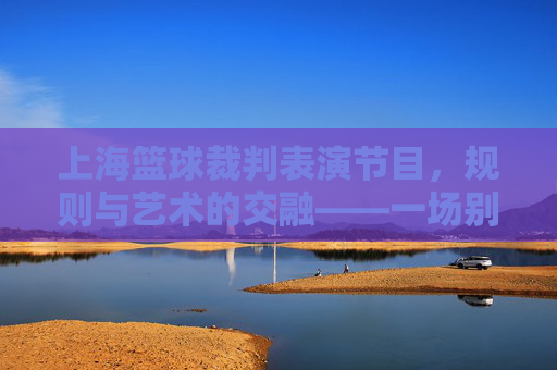 上海篮球裁判表演节目,规则与艺术的交融——一场别开生面的体育文化展示