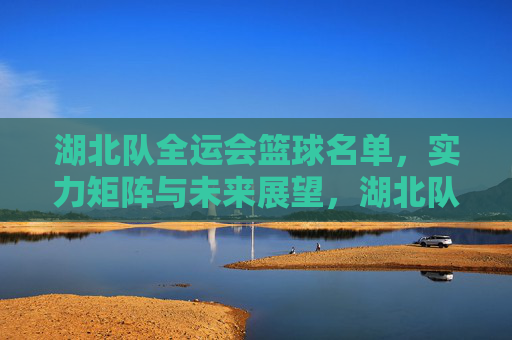湖北队全运会篮球名单，实力矩阵与未来展望，湖北队全运会篮球名单，实力矩阵与未来竞技展望