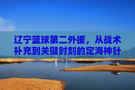 辽宁篮球第二外援,从战术补充到关键时刻的定海神针,如何为辽篮注入关键战力?