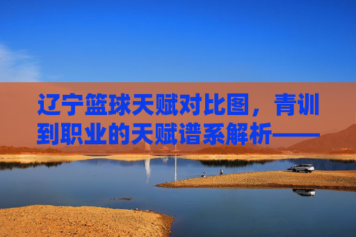 辽宁篮球天赋对比图,青训到职业的天赋谱系解析——从数据看球队未来的天赋储备与转化效率,辽宁篮球天赋对比图,青训到职业的天赋谱系解析——从数据看球队未来的天赋储备与转化效率