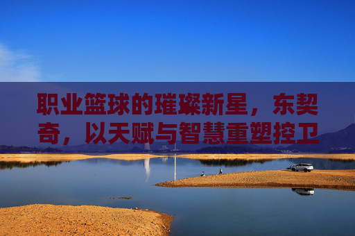职业篮球的璀璨新星，东契奇，以天赋与智慧重塑控卫传奇，职业篮球的璀璨新星，东契奇以天赋与智慧重塑控卫传奇