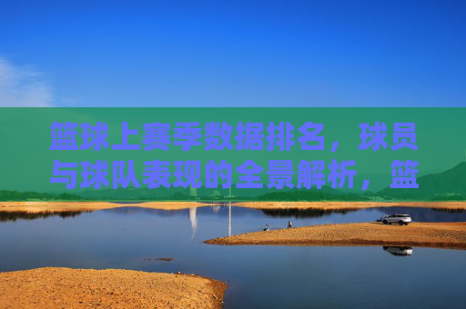 篮球上赛季数据排名,球员与球队表现的全景解析,篮球上赛季数据排名,球员与球队表现的全景解析