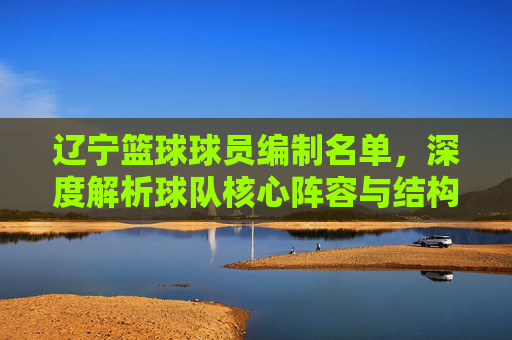 辽宁篮球球员编制名单,深度解析球队核心阵容与结构,辽宁篮球球员编制名单,深度解析球队核心阵容与结构