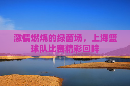 激情燃烧的绿茵场，上海篮球队比赛精彩回眸