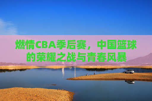 燃情CBA季后赛,中国篮球的荣耀之战与青春风暴