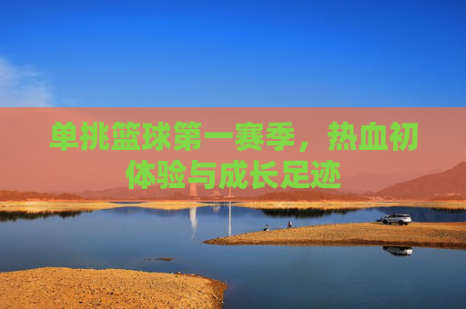 单挑篮球第一赛季,热血初体验与成长足迹