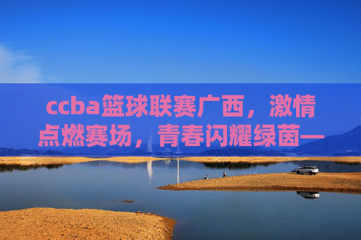 ccba篮球联赛广西，激情点燃赛场，青春闪耀绿茵——全民健身与篮球运动的活力绽放