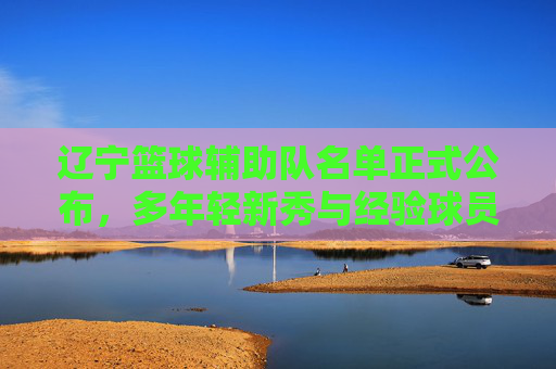 辽宁篮球辅助队名单正式公布，多年轻新秀与经验球员集结，助力球队战术体系优化