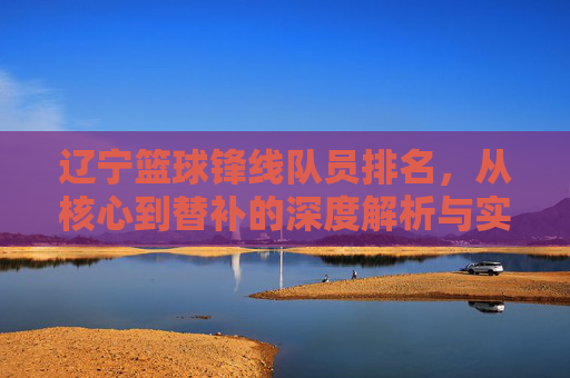 辽宁篮球锋线队员排名,从核心到替补的深度解析与实力评估