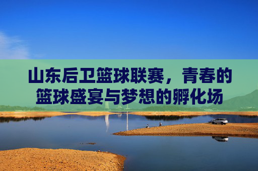 山东后卫篮球联赛,青春的篮球盛宴与梦想的孵化场