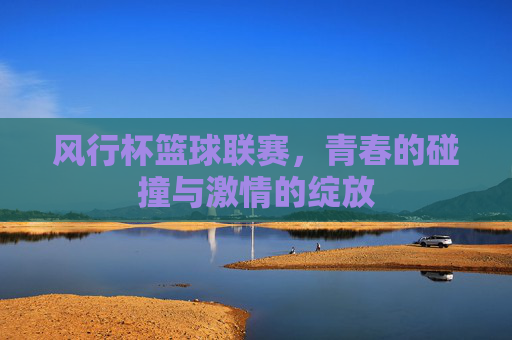 风行杯篮球联赛,青春的碰撞与激情的绽放