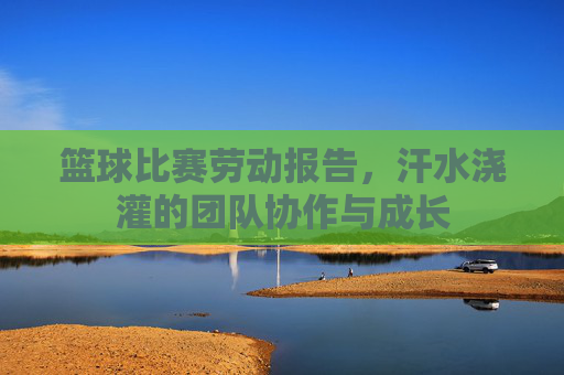 篮球比赛劳动报告,汗水浇灌的团队协作与成长