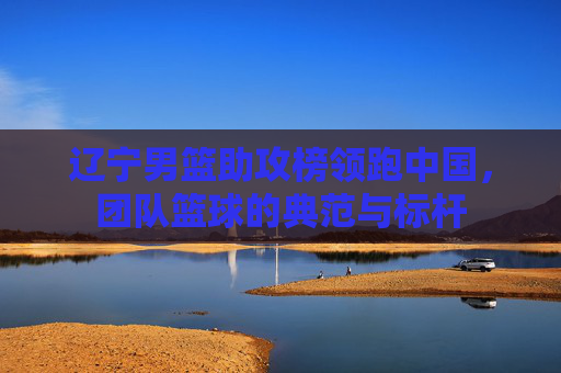 辽宁男篮助攻榜领跑中国,团队篮球的典范与标杆
