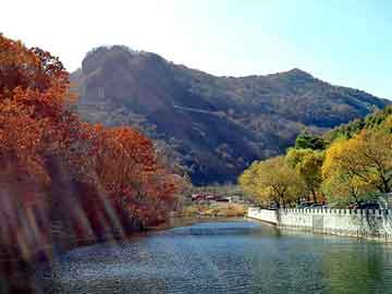 贵州山区篮球赛，山间绿荫下的青春与梦想，贵州山区篮球赛，山间绿荫下的青春与梦想