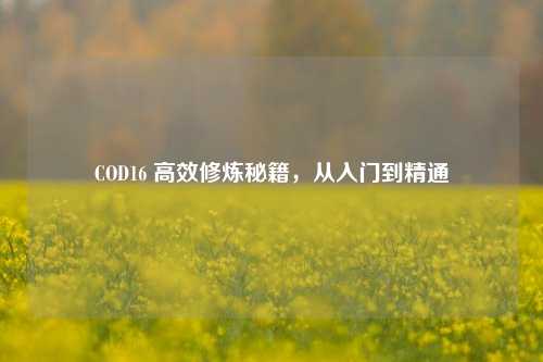 COD16 高效修炼秘籍,从入门到精通