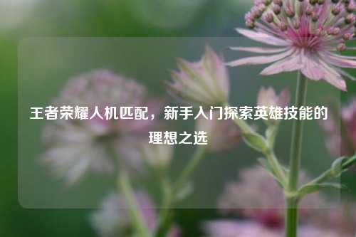 王者荣耀人机匹配，新手入门探索英雄技能的理想之选