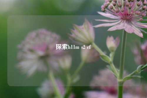 探索h11m s2 cf