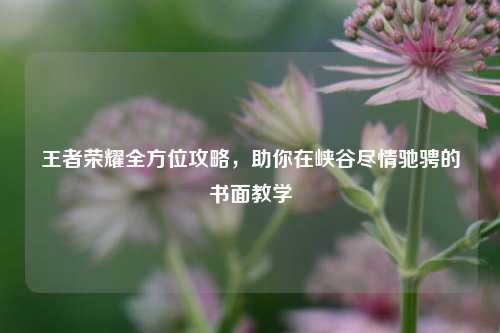 王者荣耀全方位攻略，助你在峡谷尽情驰骋的书面教学