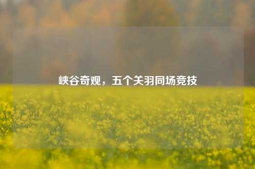 峡谷奇观,五个关羽同场竞技