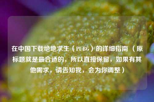 在中国下载绝地求生（PUBG）的详细指南 （原标题就是最合适的，所以直接保留，如果有其他需求，请告知我，会为你调整）
