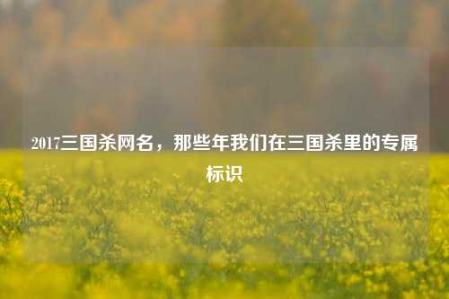 2017三国杀网名，那些年我们在三国杀里的专属标识