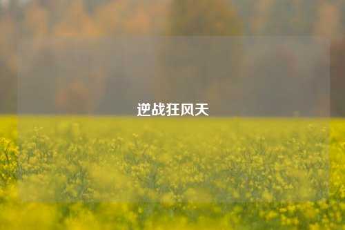 逆战狂风天