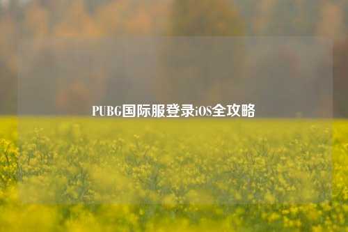PUBG国际服登录iOS全攻略