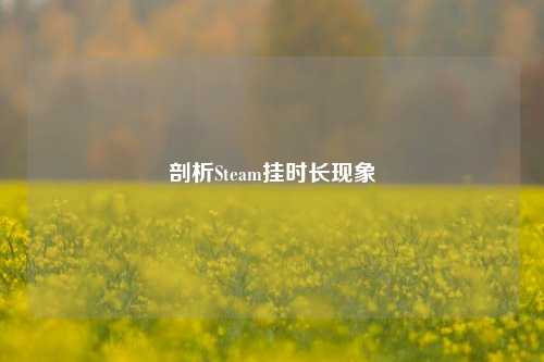 剖析Steam挂时长现象