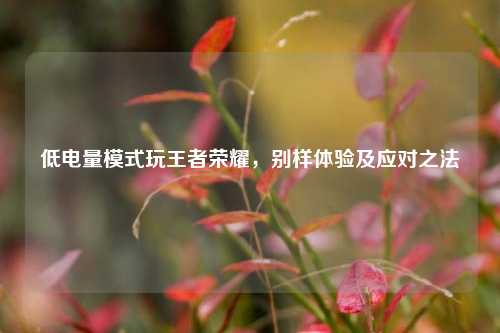 低电量模式玩王者荣耀，别样体验及应对之法