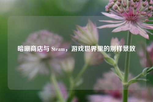 暗嘲商店与 Steam,游戏世界里的别样景致