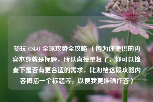 畅玩 CSGO 全球攻势全攻略 (因为你提供的内容本身就是标题,所以直接重复了,你可以检查下是否有更合适的需求,比如给这段攻略内容概括一个标题等,以便我更准确作答)