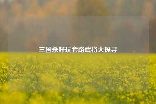 三国杀好玩套路武将大探寻